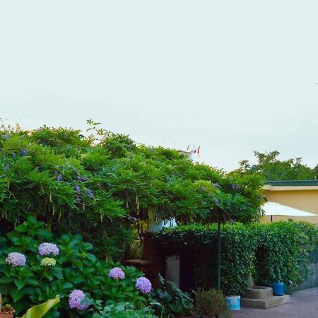A Tintureira Vila São Martinho de Antas Exterior foto