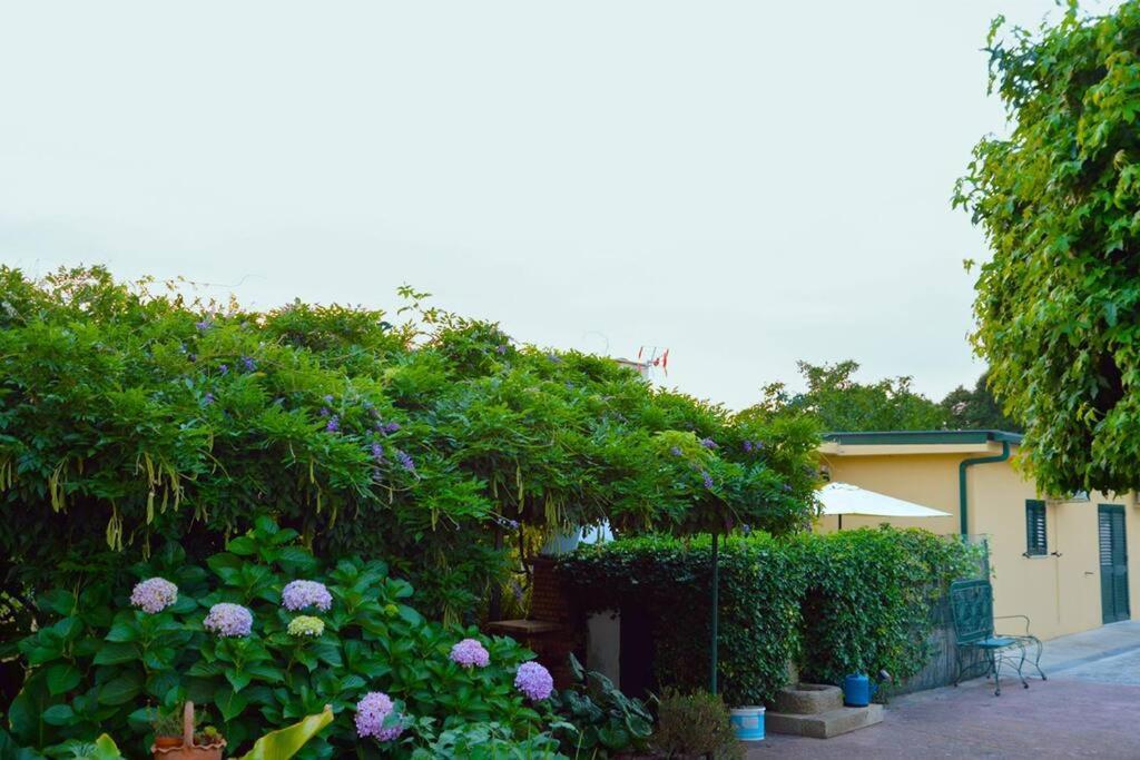 A Tintureira Vila São Martinho de Antas Exterior foto