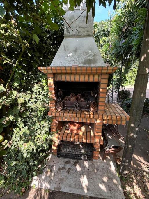 A Tintureira Vila São Martinho de Antas Exterior foto