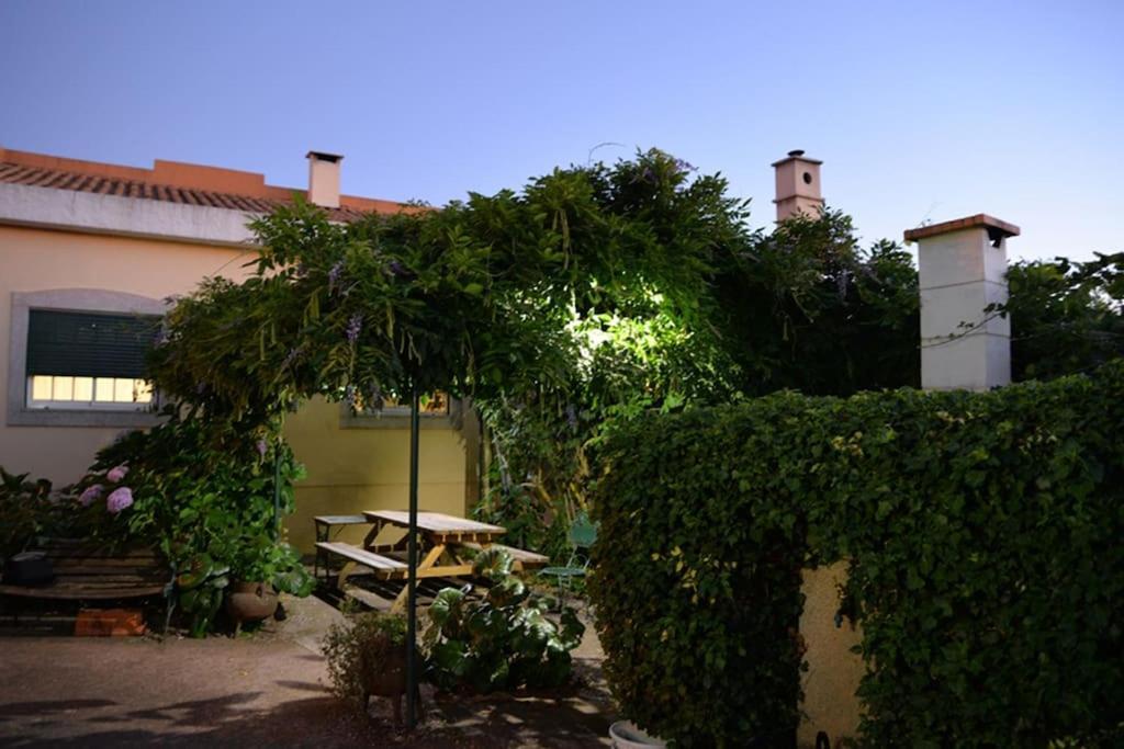 A Tintureira Vila São Martinho de Antas Exterior foto
