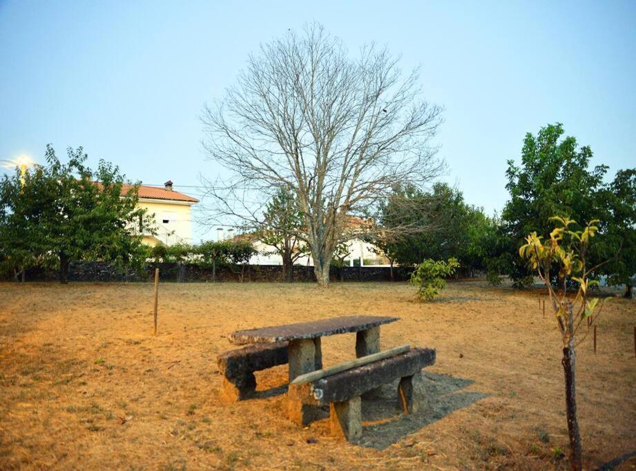 A Tintureira Vila São Martinho de Antas Exterior foto